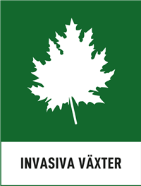 Invasiva Vaexter Rgb